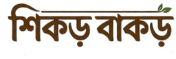 শিকড় বাকড়