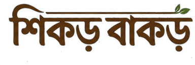 শিকড় বাকড়